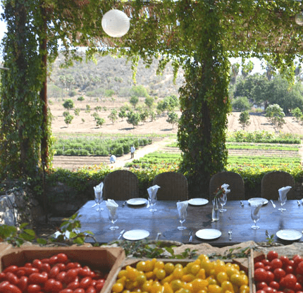 Eat Local. Eat Organic.
