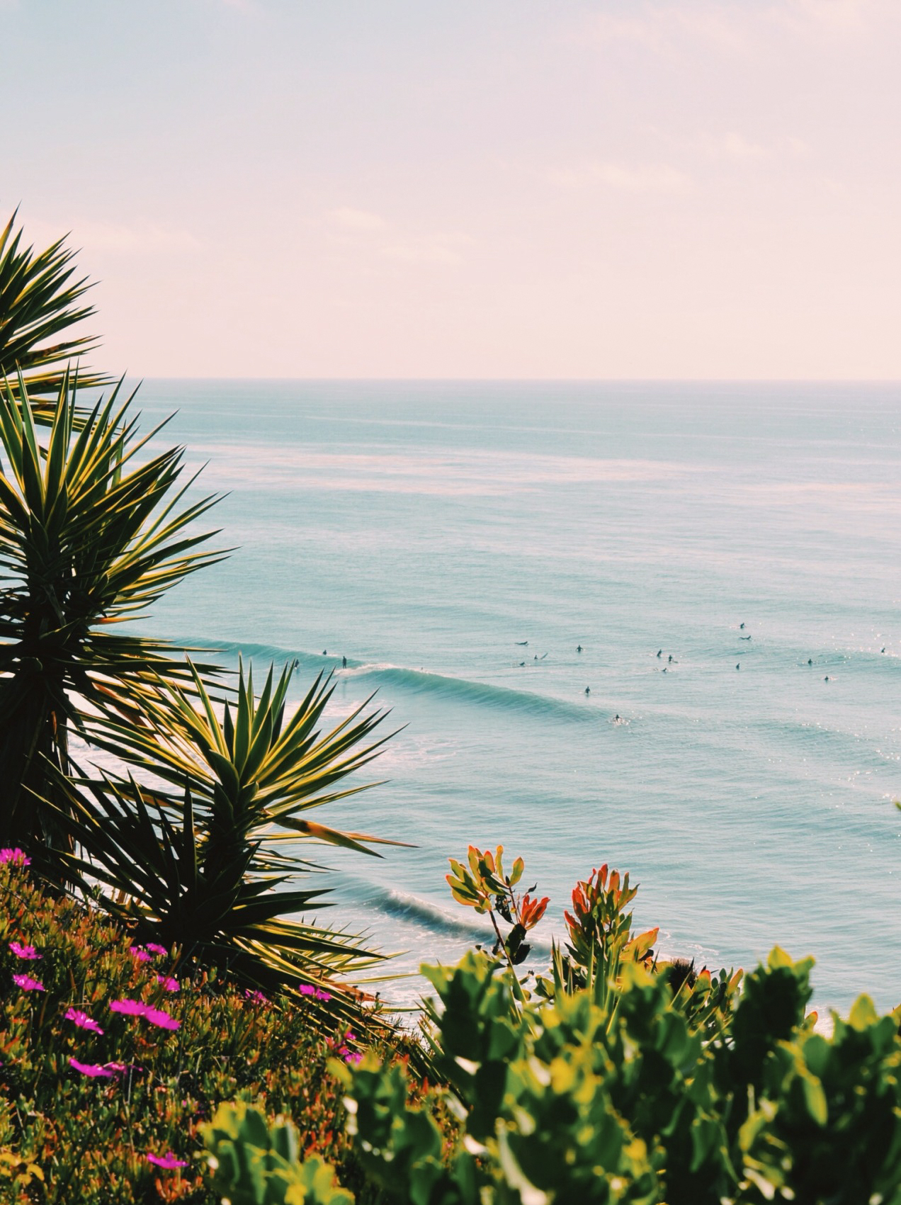 Our Hometown Guide to 36 Can't Miss Spots in Encinitas
