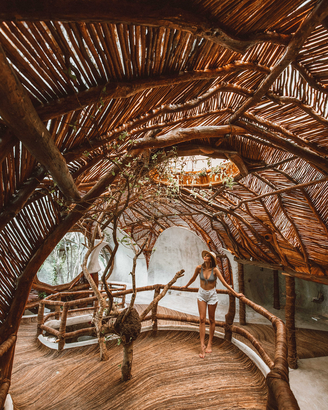 2018's Craziest Treehouses in Treetops Around The World