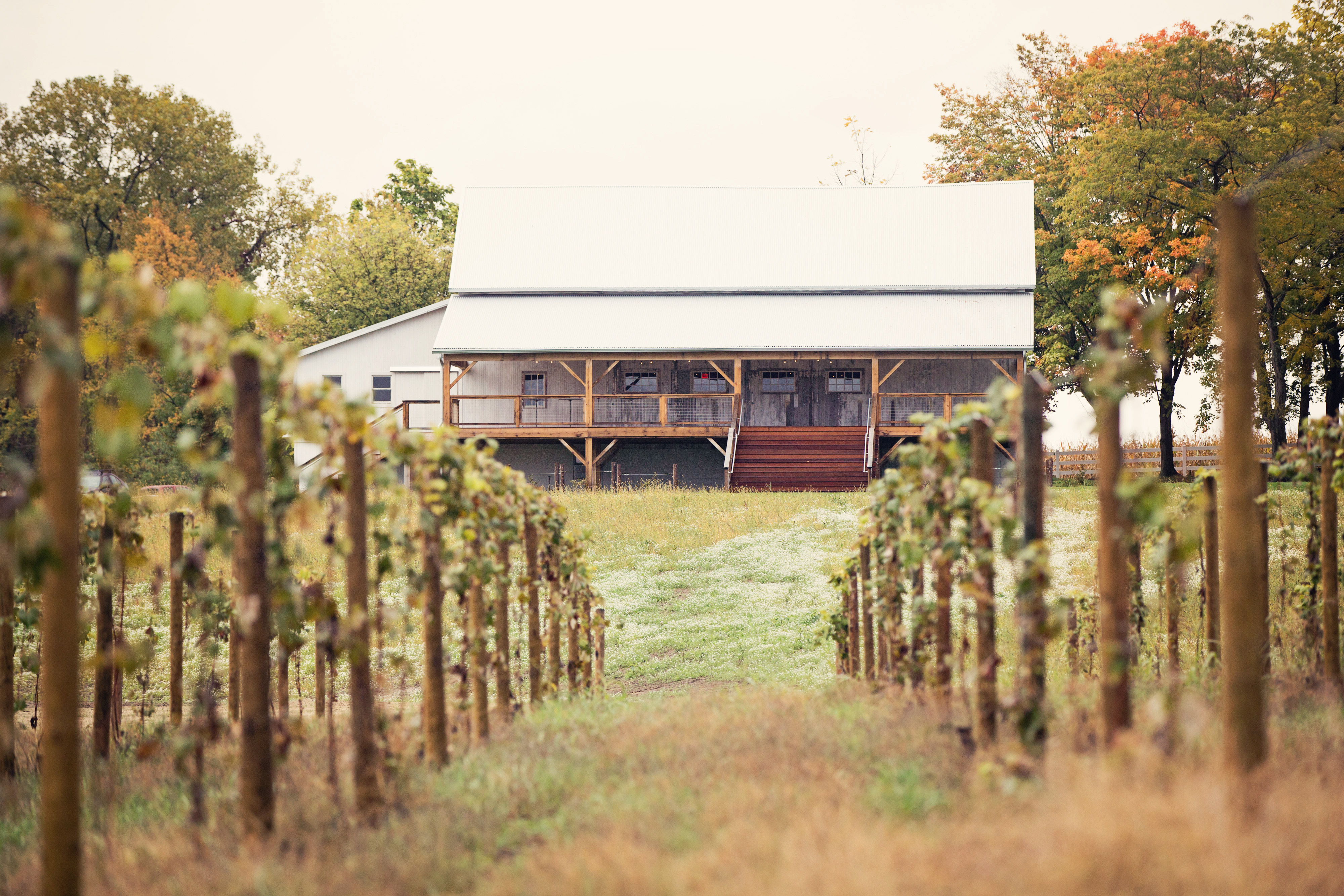 Hidden Vineyard Wedding Barn