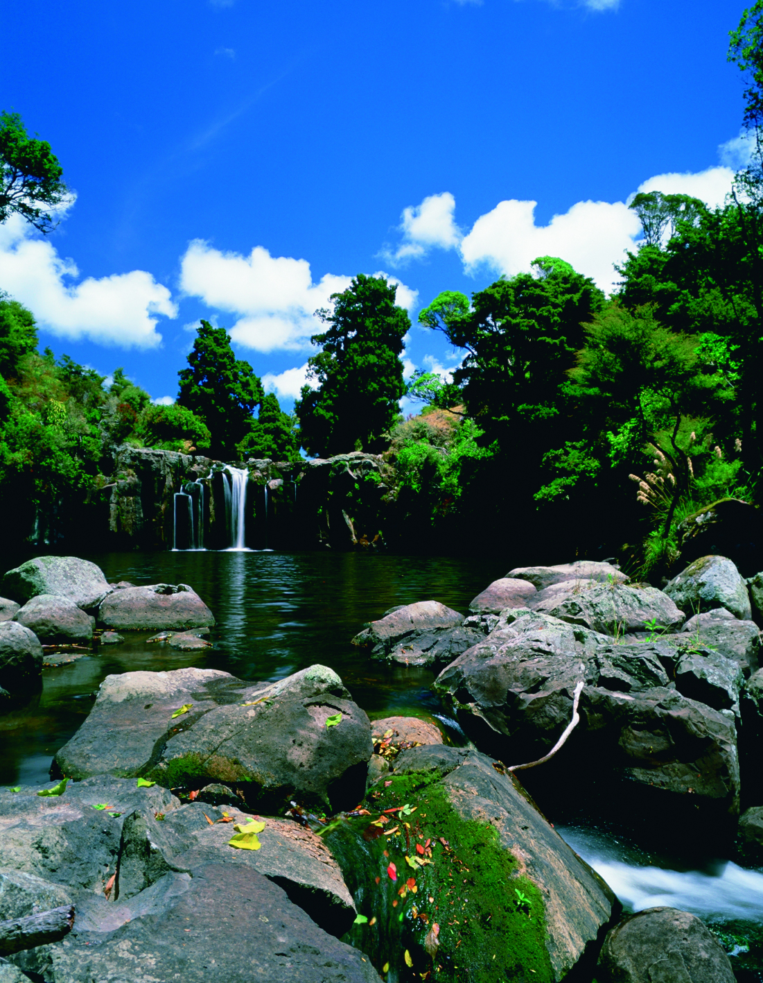 The Lodge at Kauri Cliffs