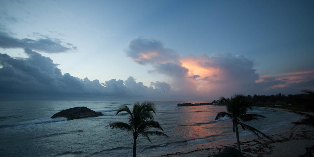 El Pez at Turtle Cove