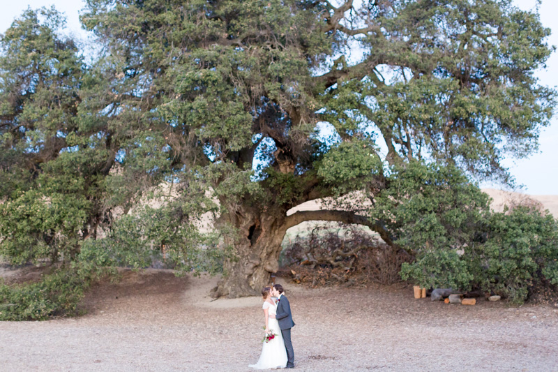 Highland Springs Resort