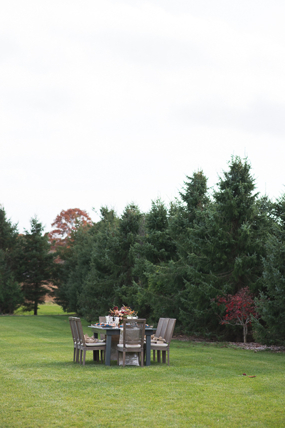 The Farmer's Daughter