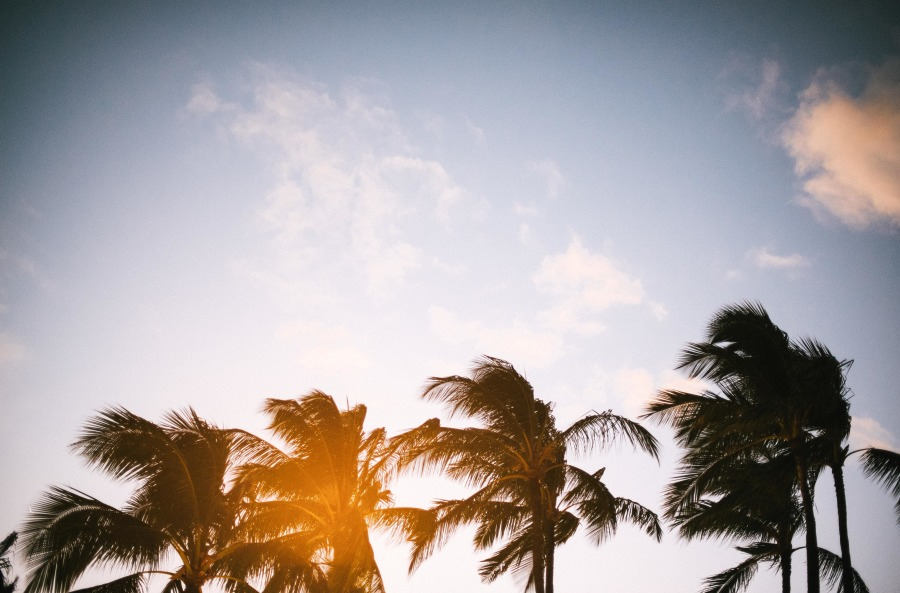 Lanikuhonua Cultural Institute