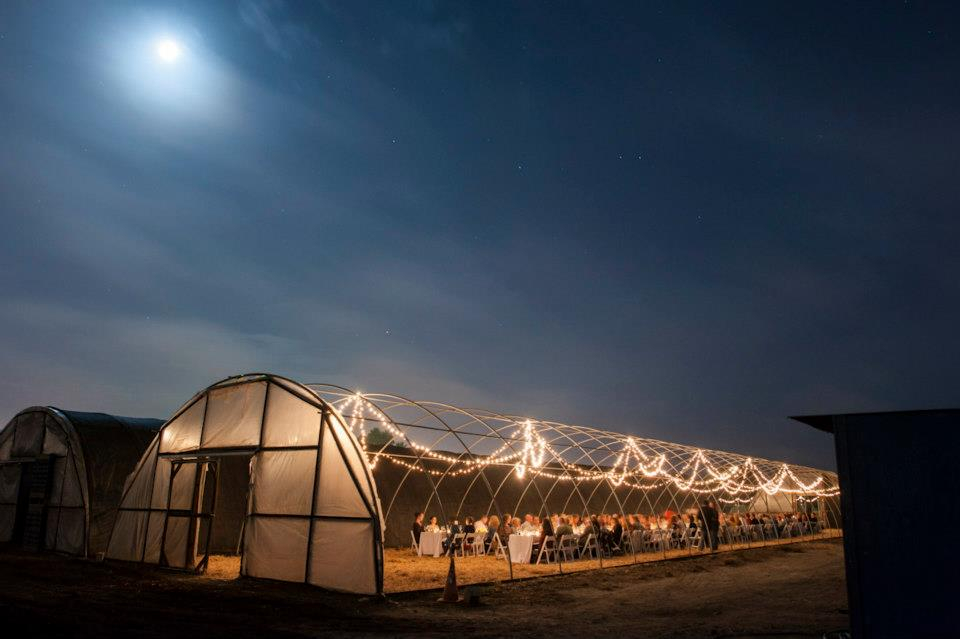 The Grove at Suzie's Farm