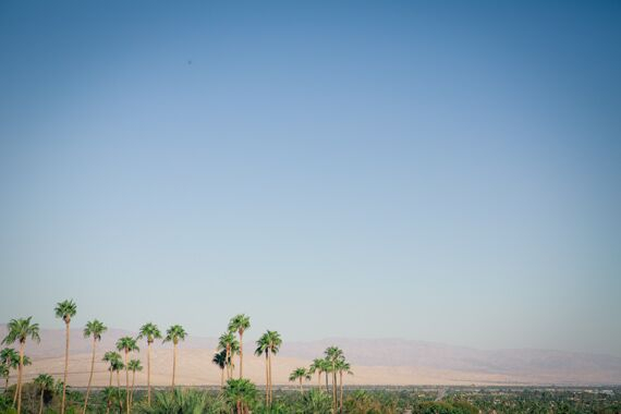 Frederick Loewe Estate