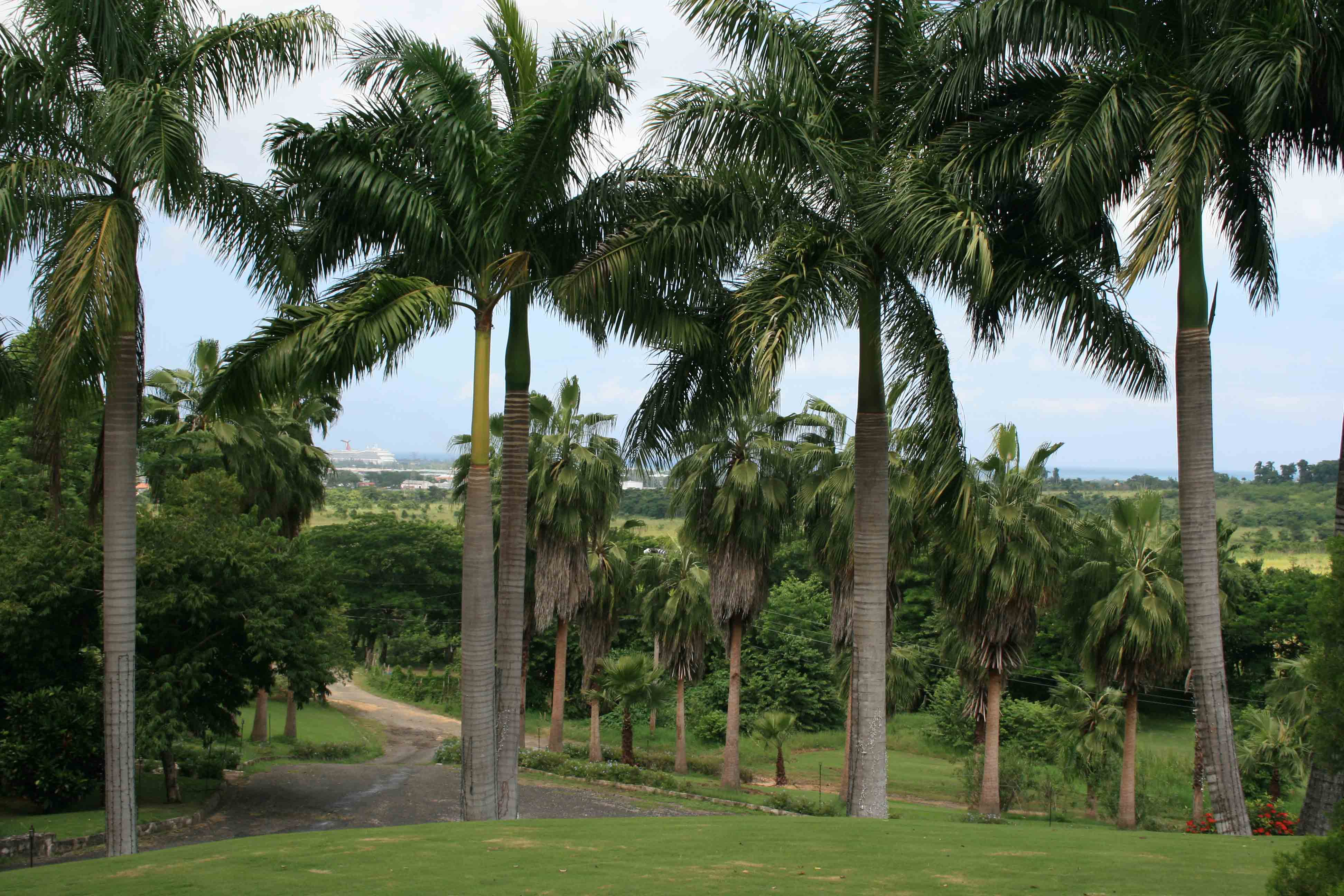 Bellefield Greathouse & Gardens