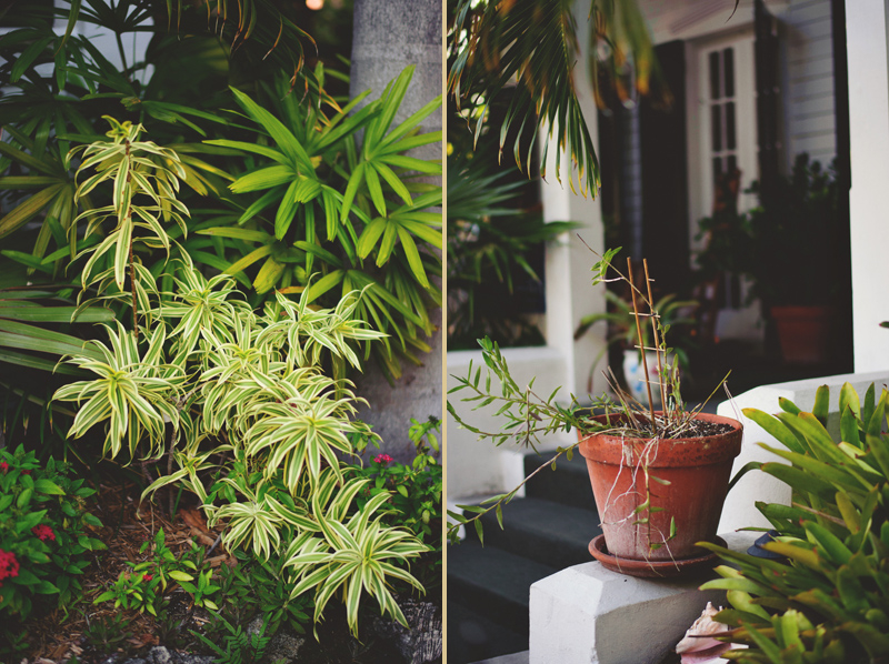 Old Town Manor Weddings