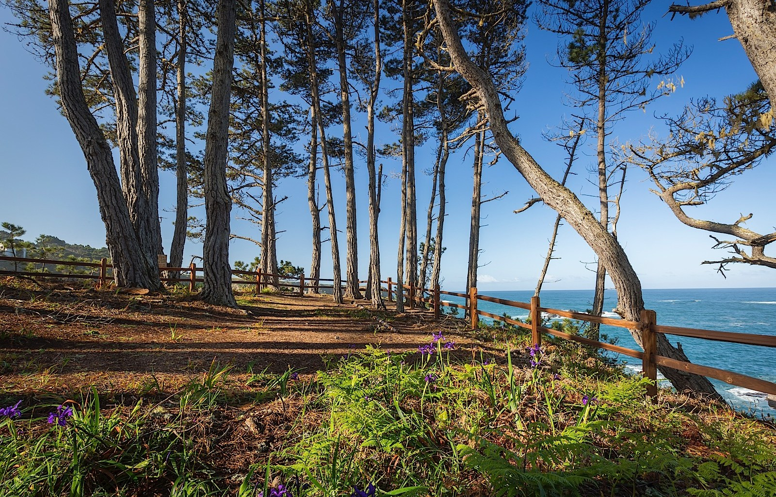 Heritage House Resort