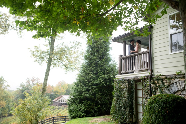 The Vineyard at High Holly