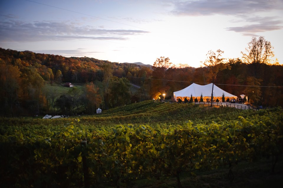 The Vineyard at High Holly