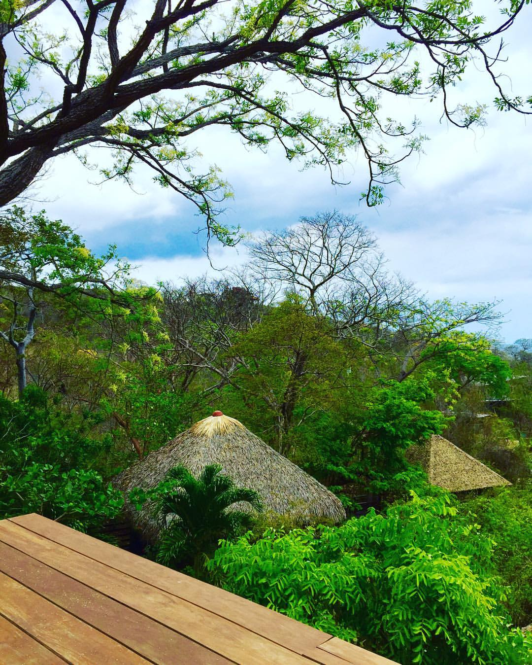 Buena Vista Surf Club