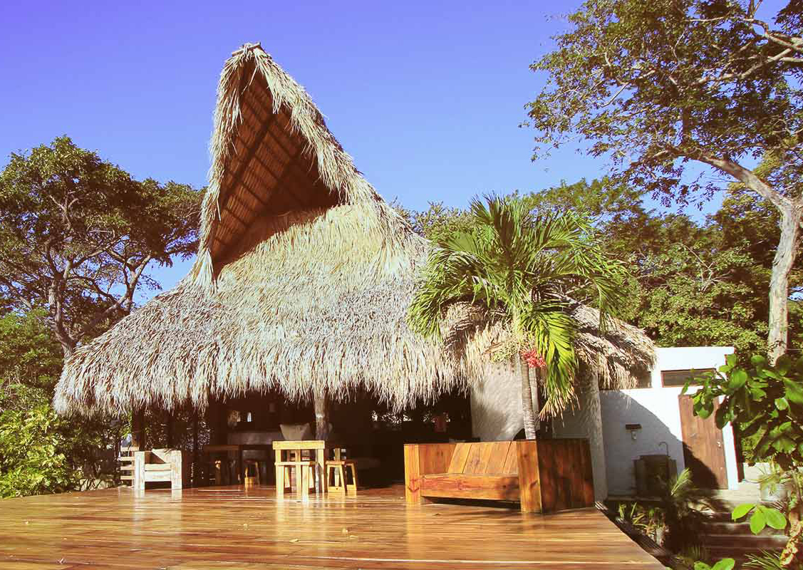 Buena Vista Surf Club