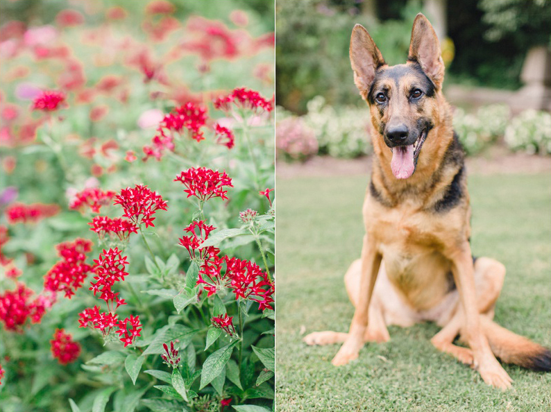 Cator Woolford Gardens