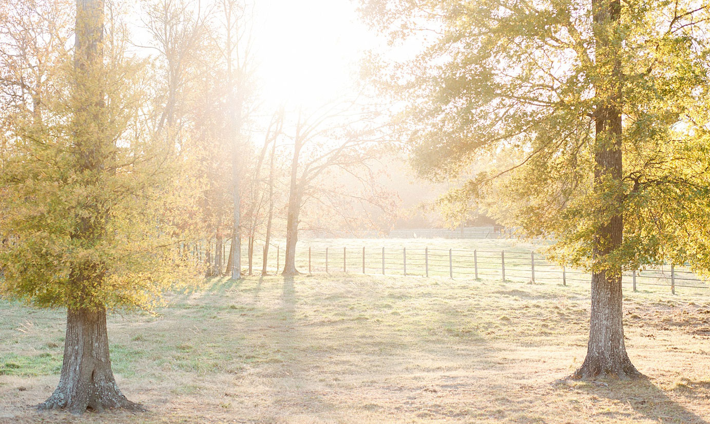 The Farm at Brusharbor
