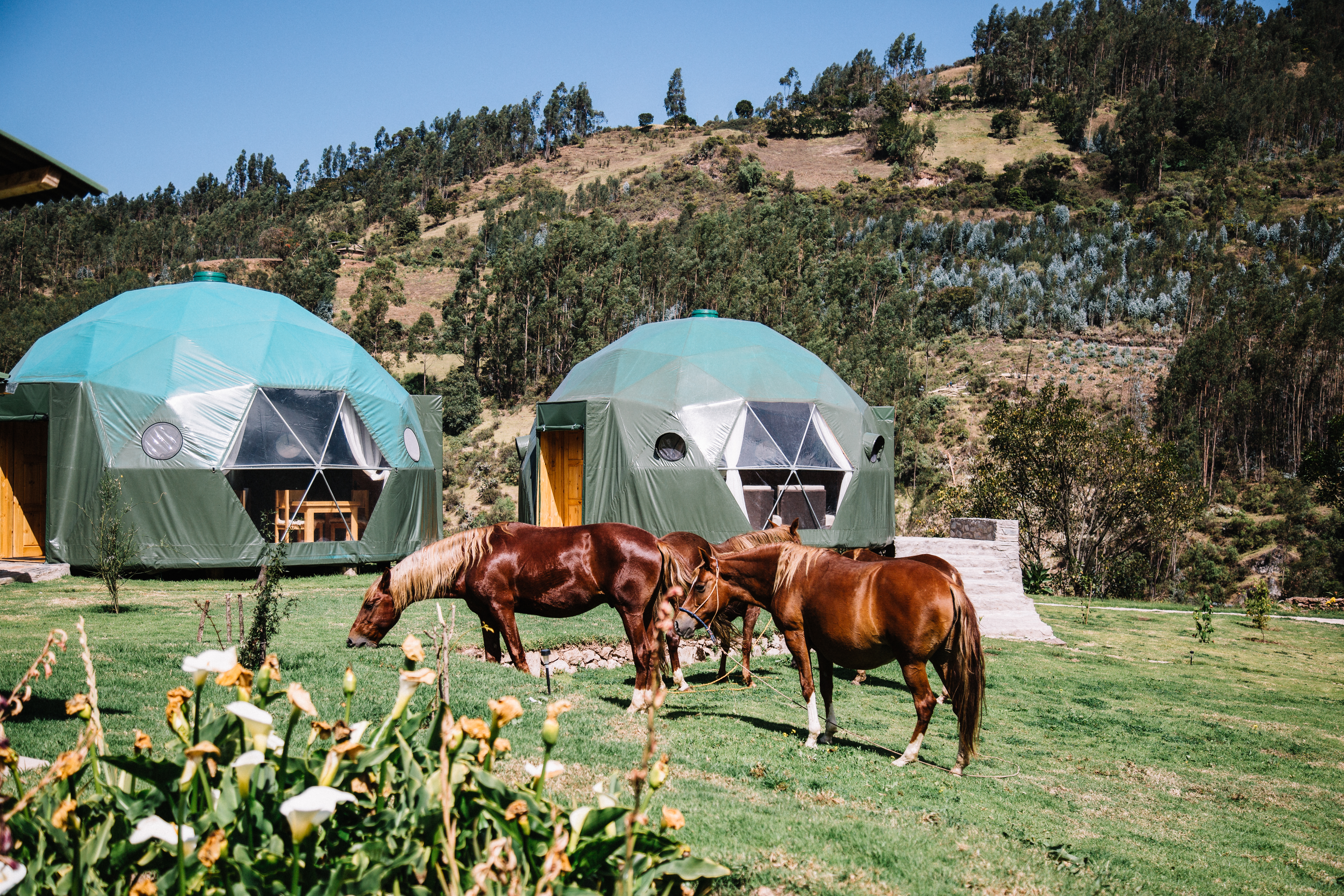 Peru Ecocamp