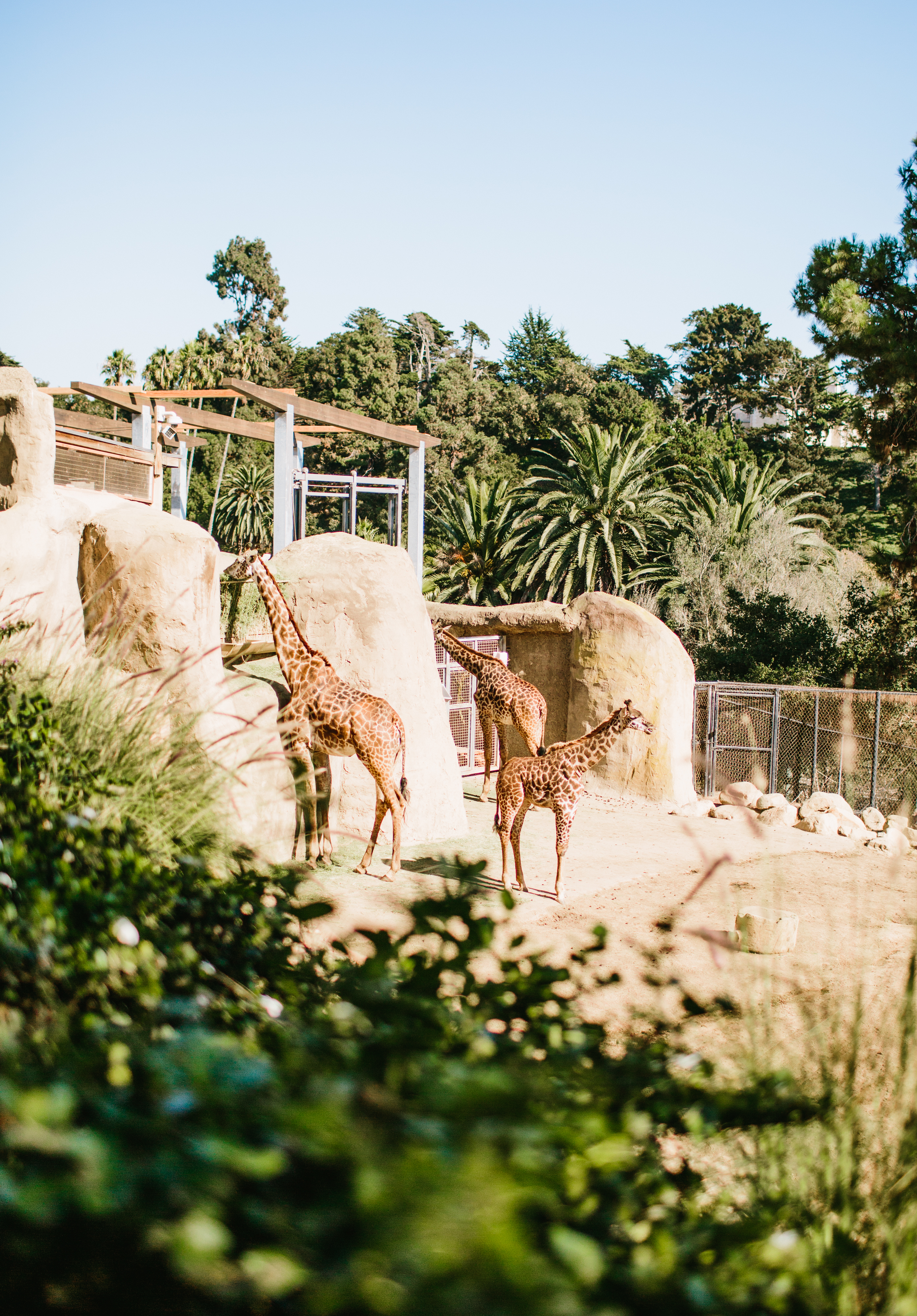 Santa Barbara Zoo