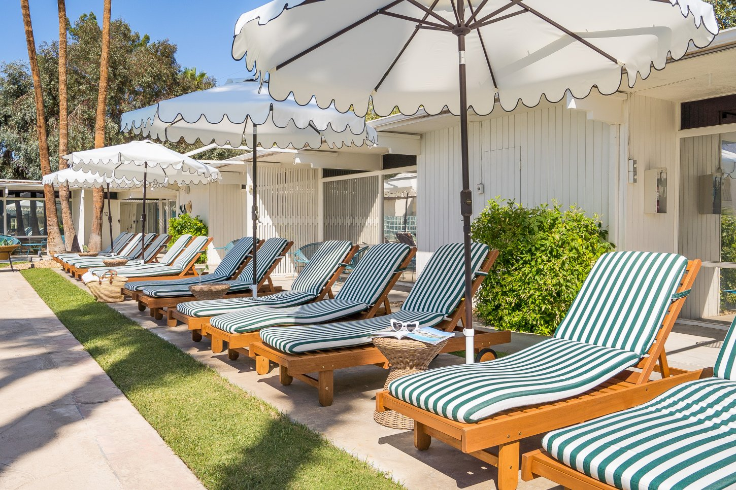 The Monkey Tree Hotel Buyout by AvantStay