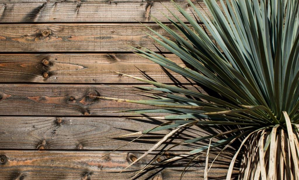 Le Lodge Des Iles D'or