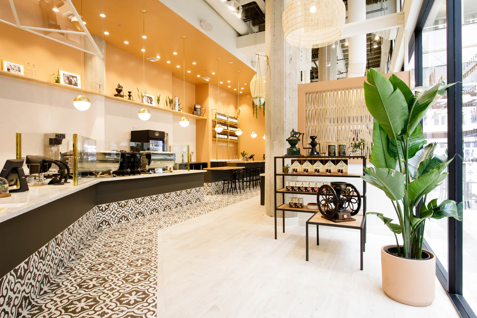 Don Francisco Coffee Casa Cubana