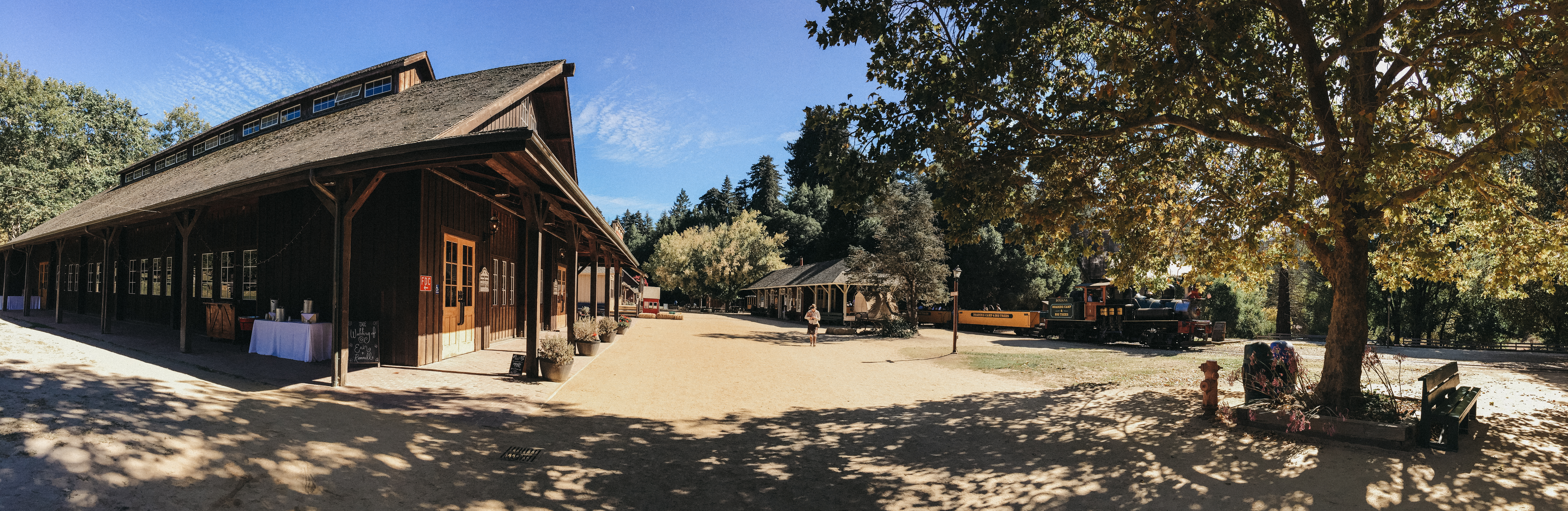 Roaring Camp