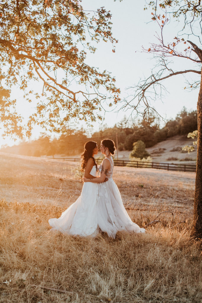 Sacred Mountain Julian