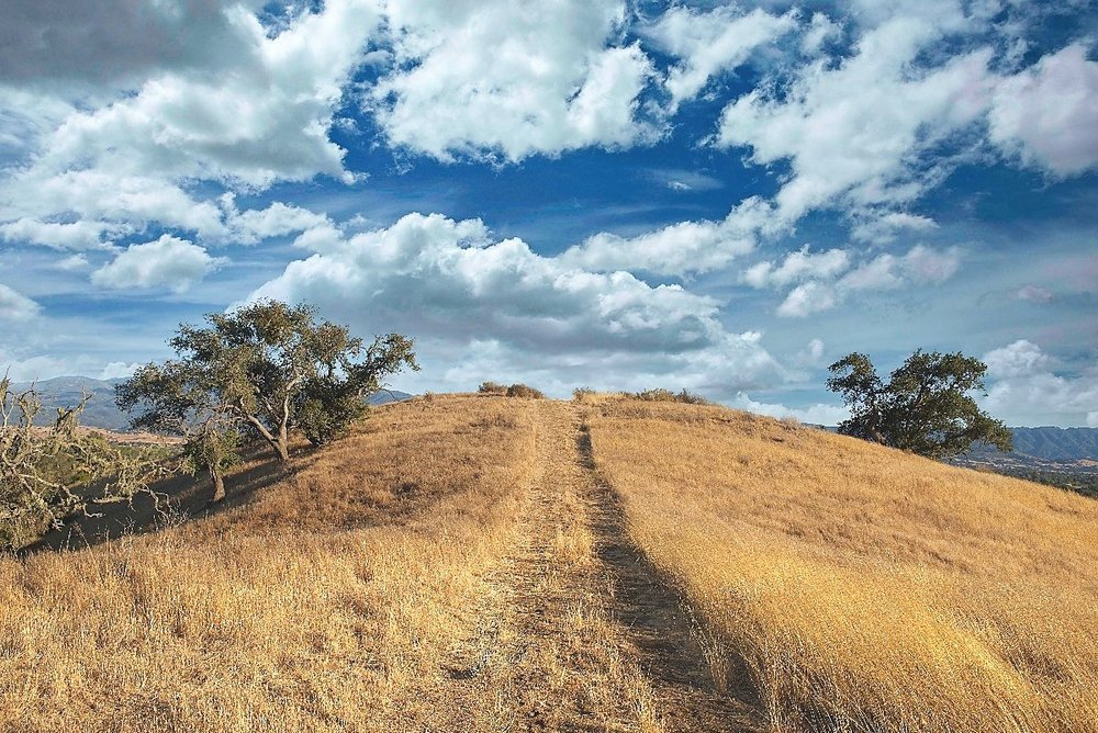 Santa Ynez Ranch Events