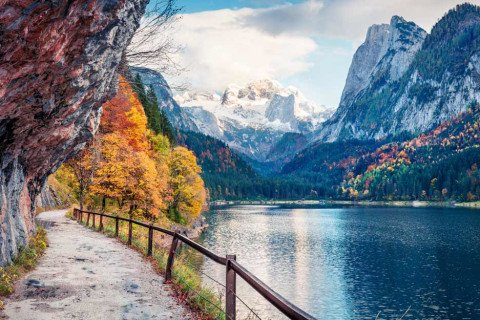 Utah Mountain Distillery - T