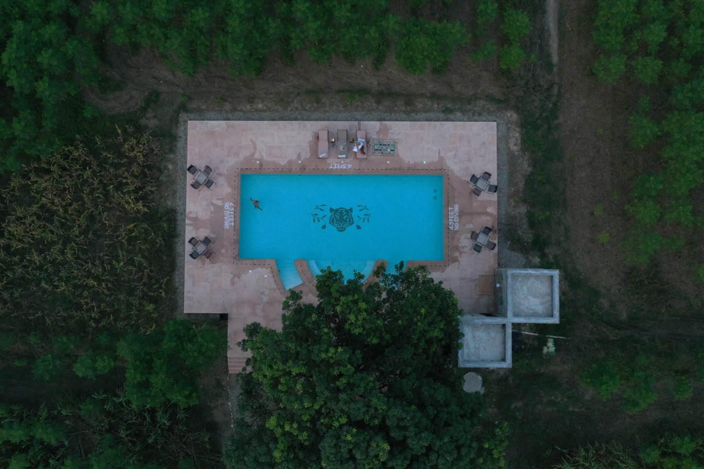 Aalia Jungle Bandarjudh