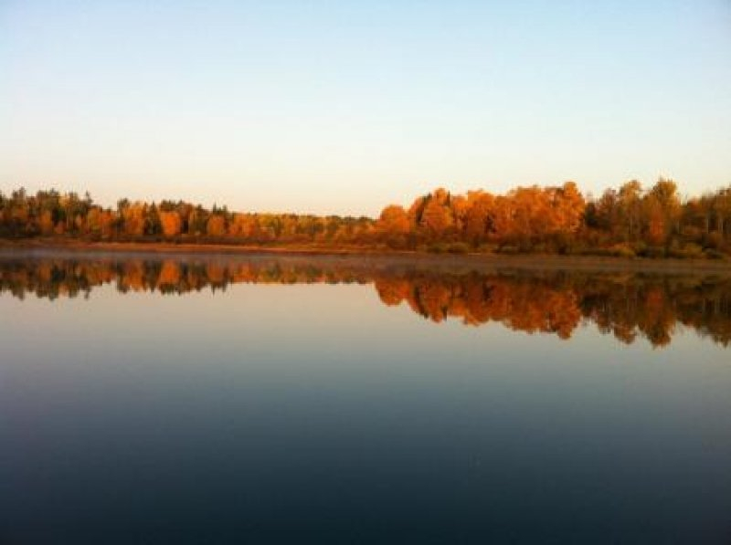 Black Lantern Resort