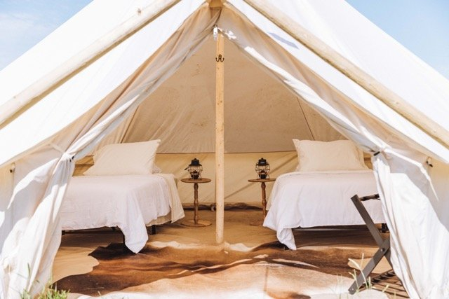 Wild Productions at YFR