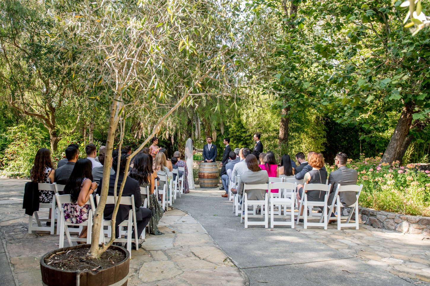 Cline Family Cellars