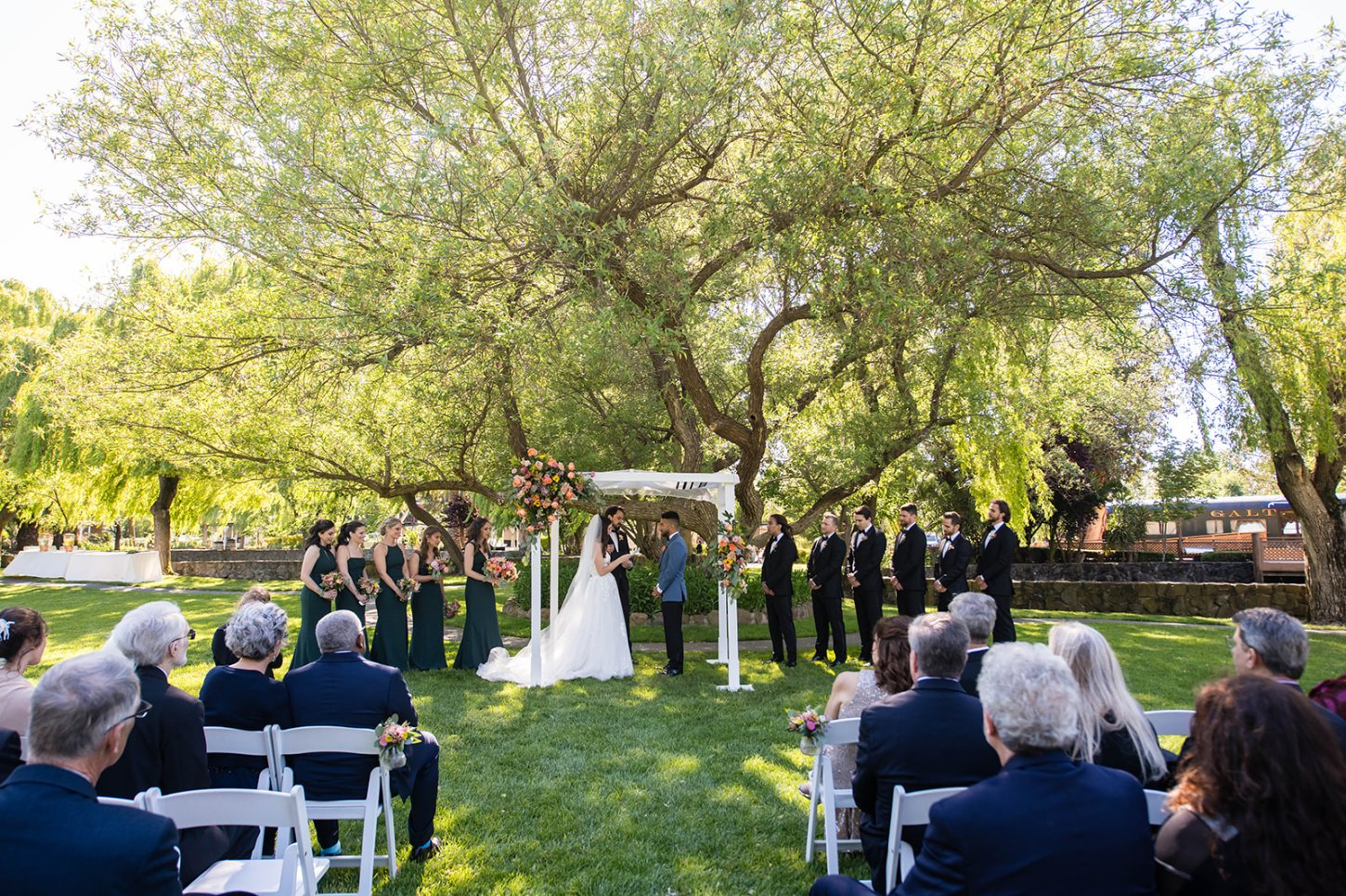 Cline Family Cellars