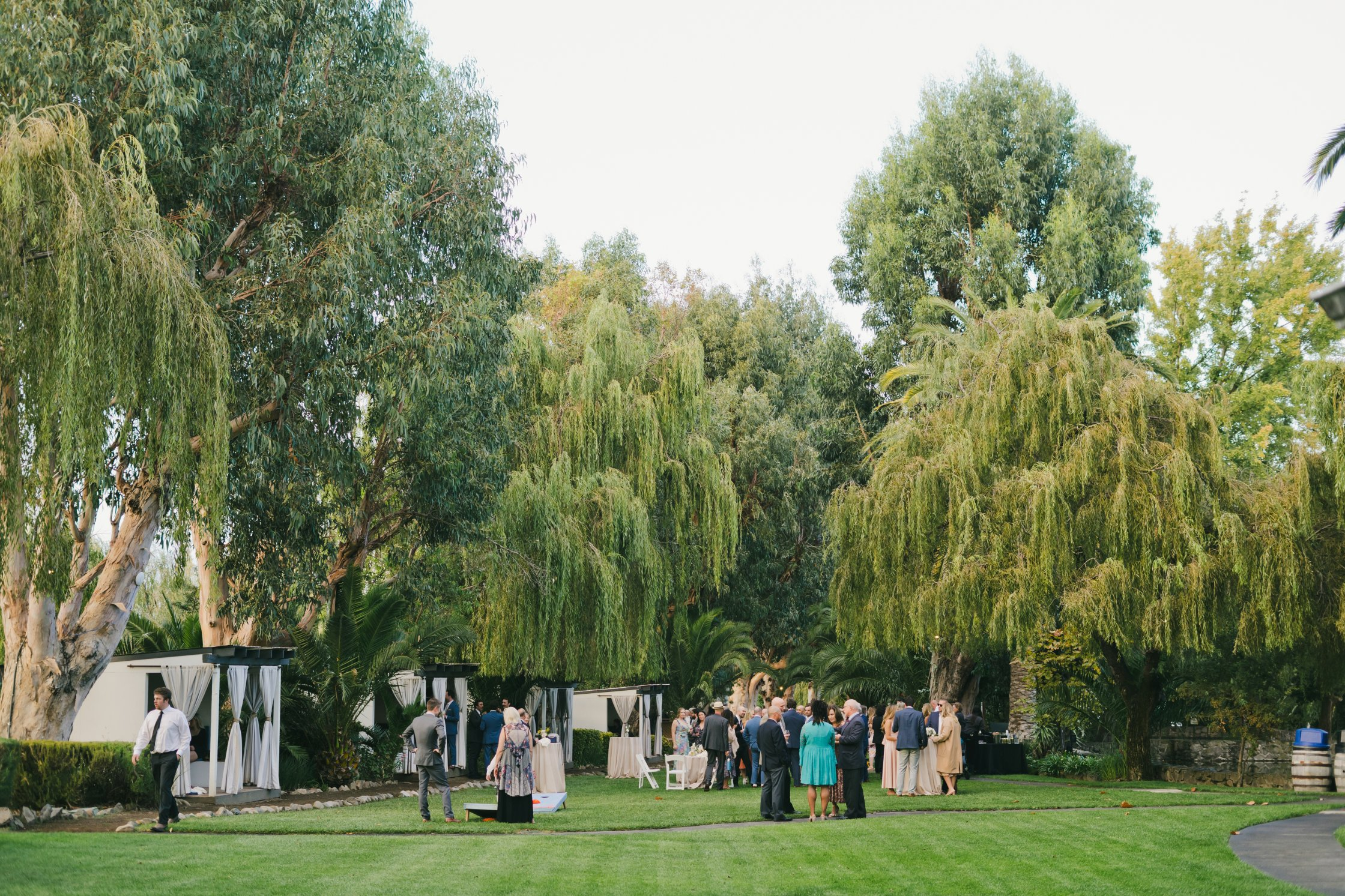 Cline Family Cellars