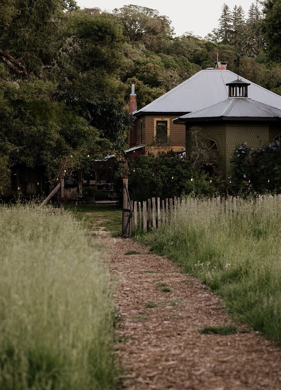 Whispertree Retreat