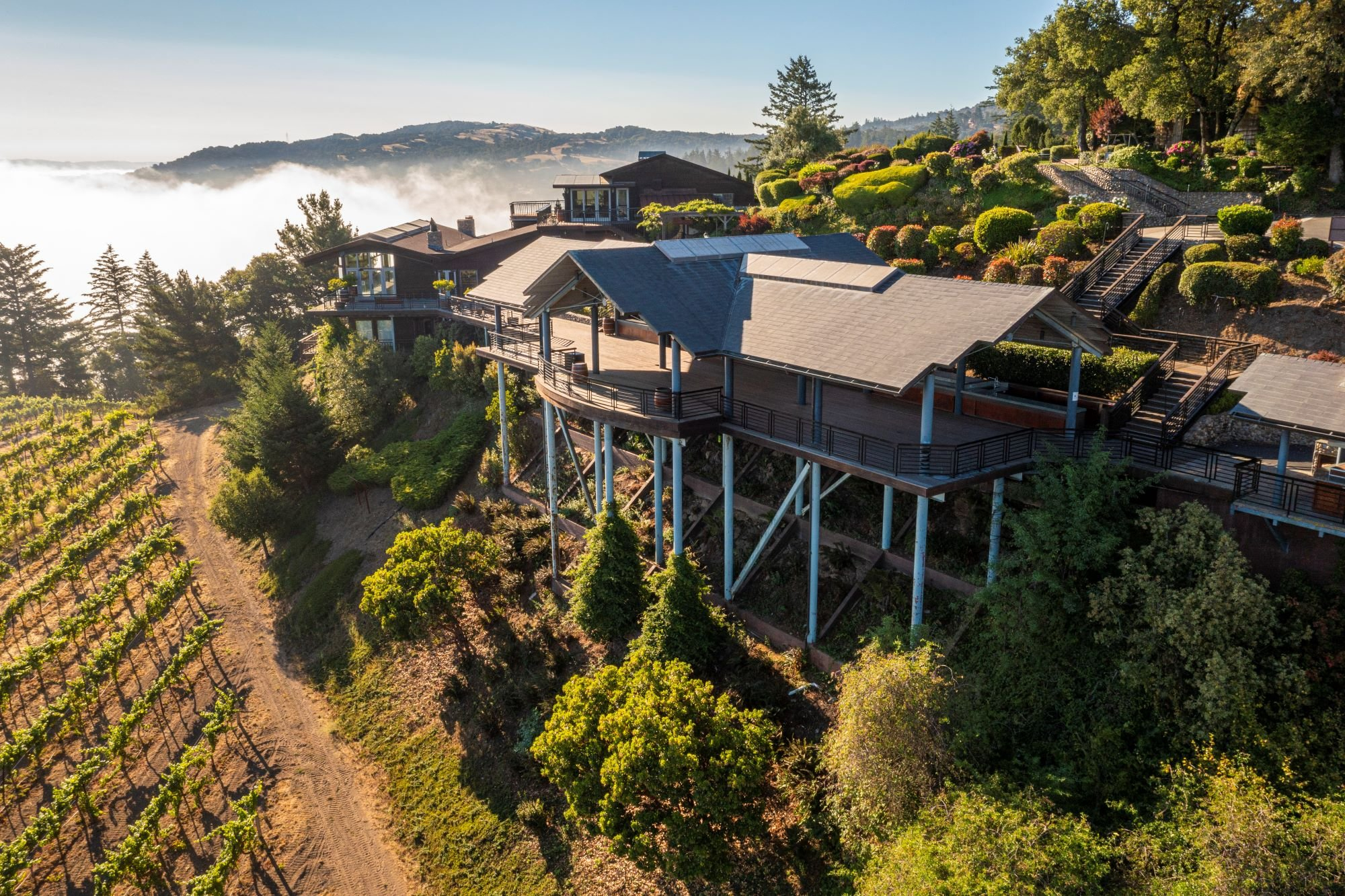 Thomas Fogarty Winery