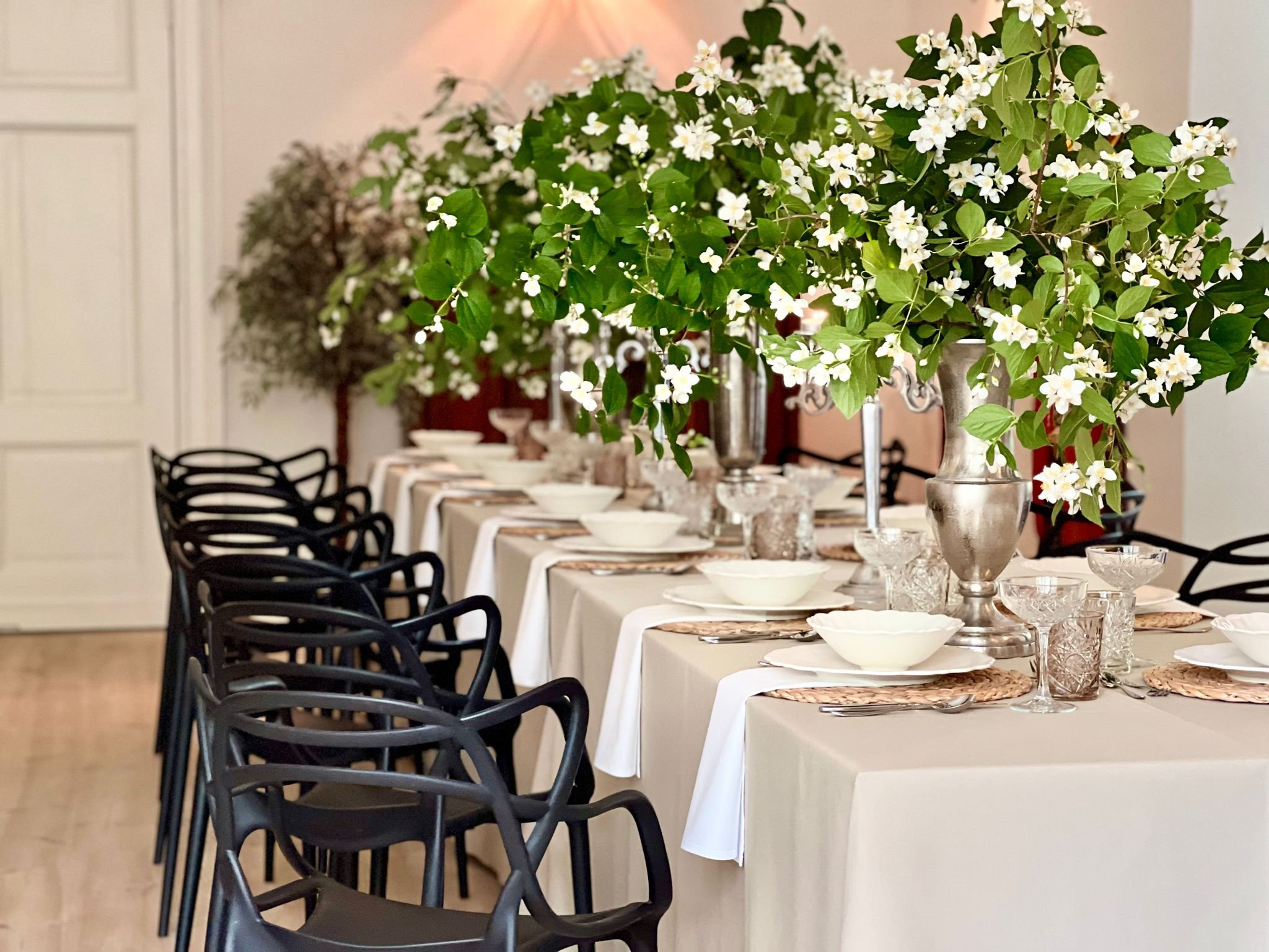 The Palace at Osowa Sien