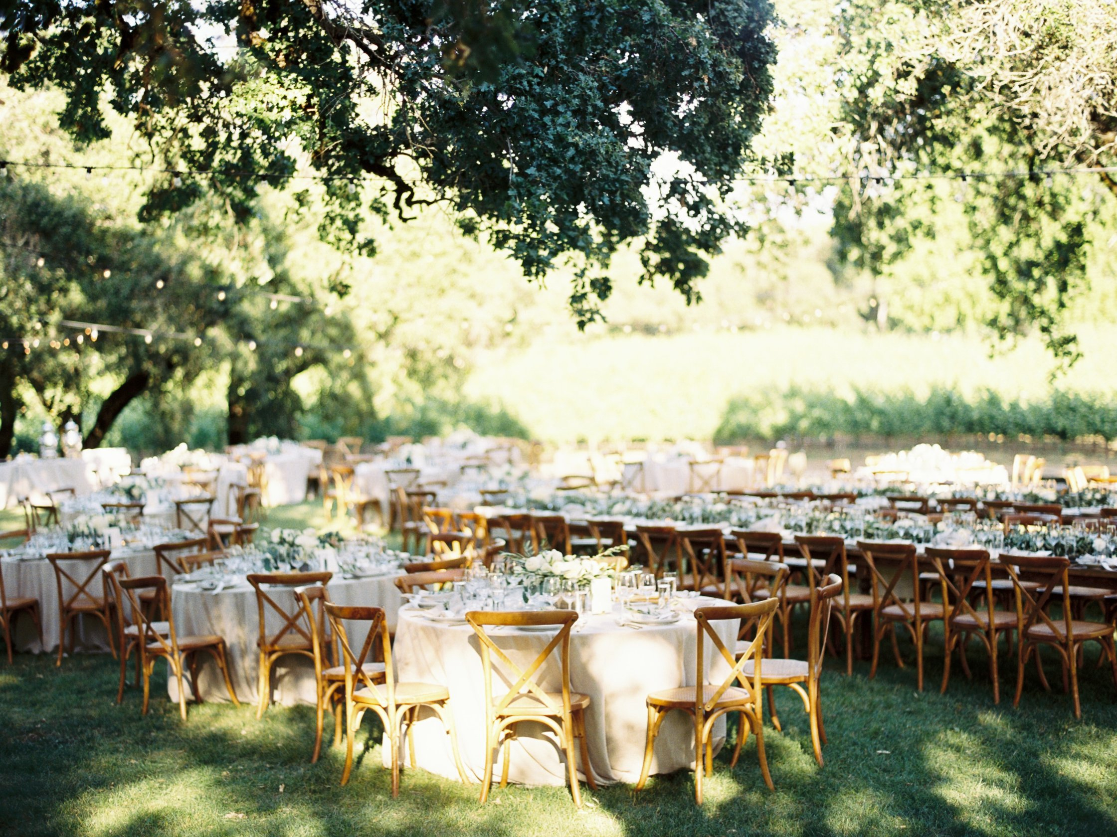 Harper's Rest Winery