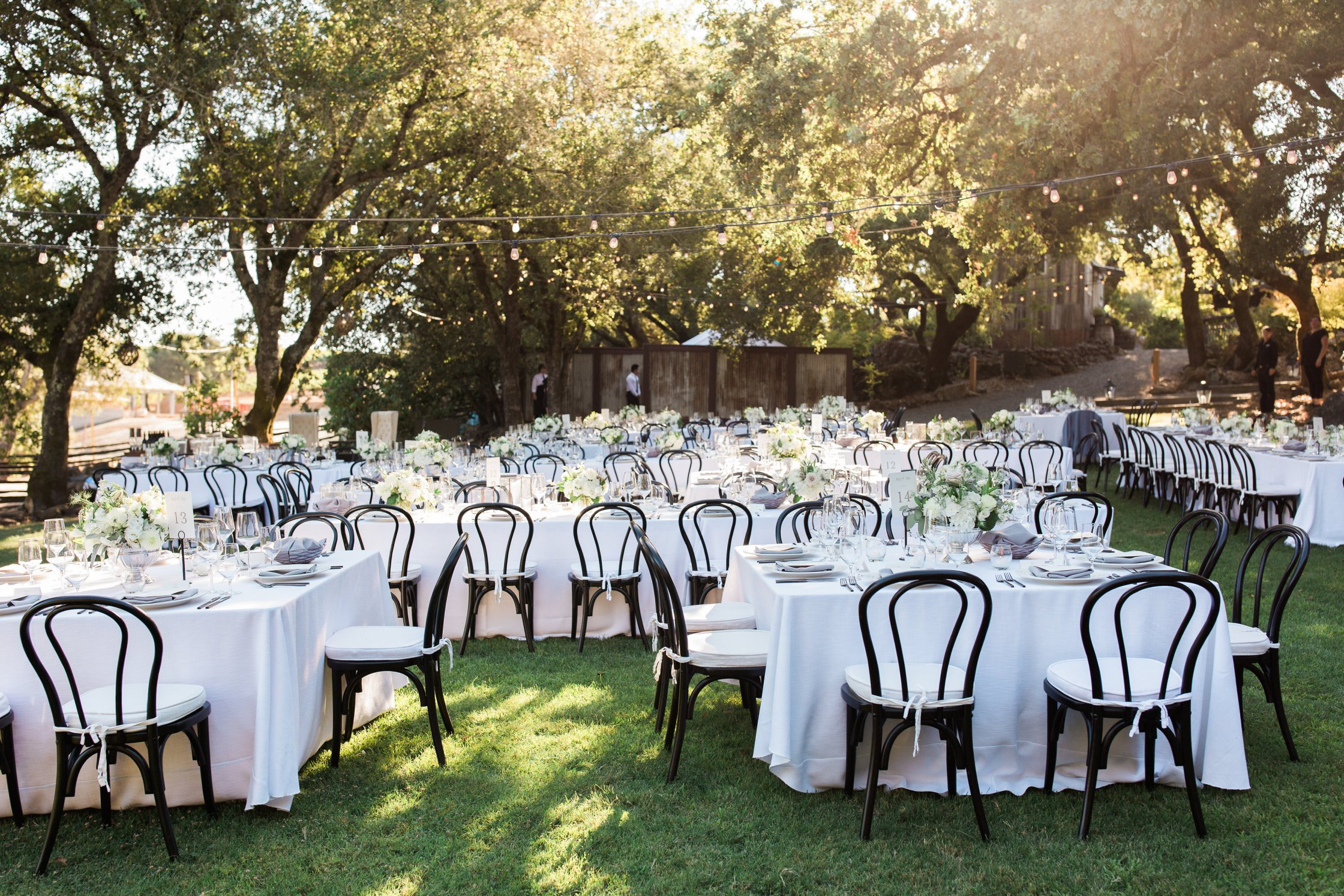 Harper's Rest Winery