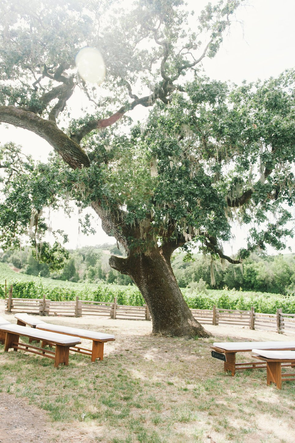 Harper's Rest Winery