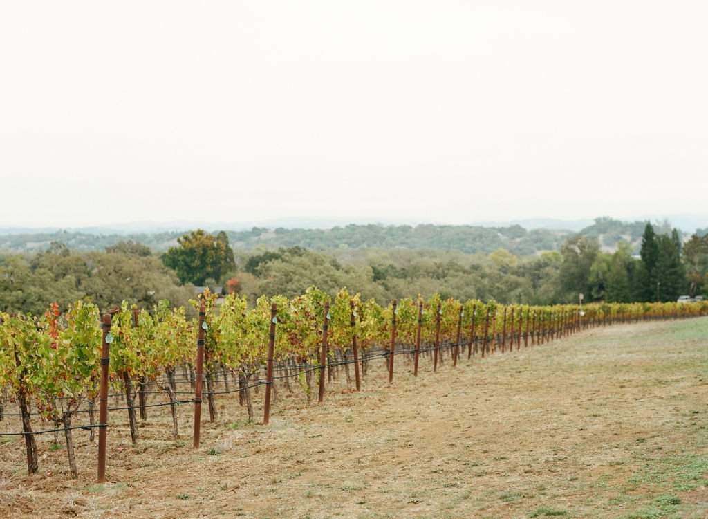 Harper's Rest Winery