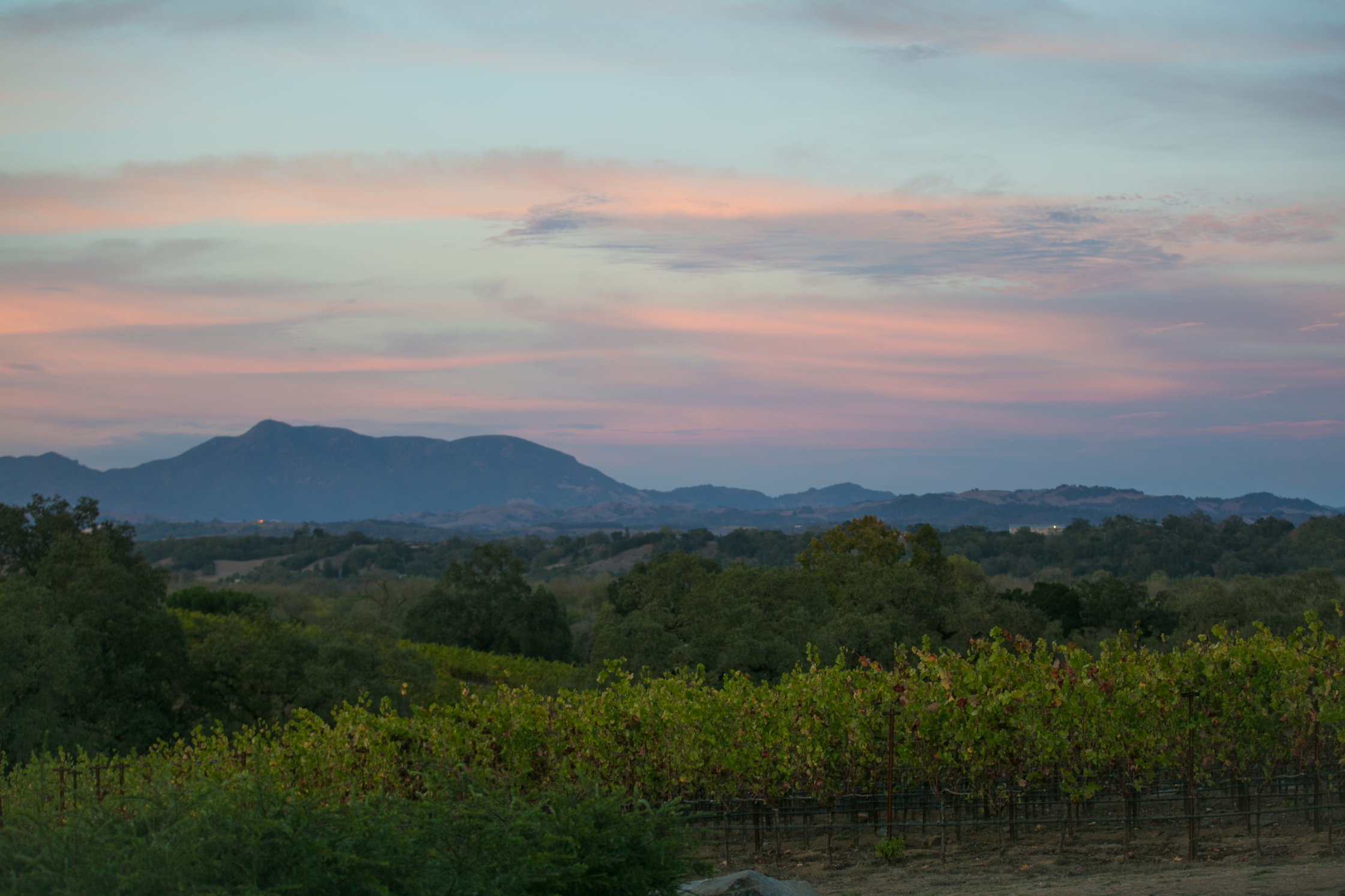 Harper's Rest Winery