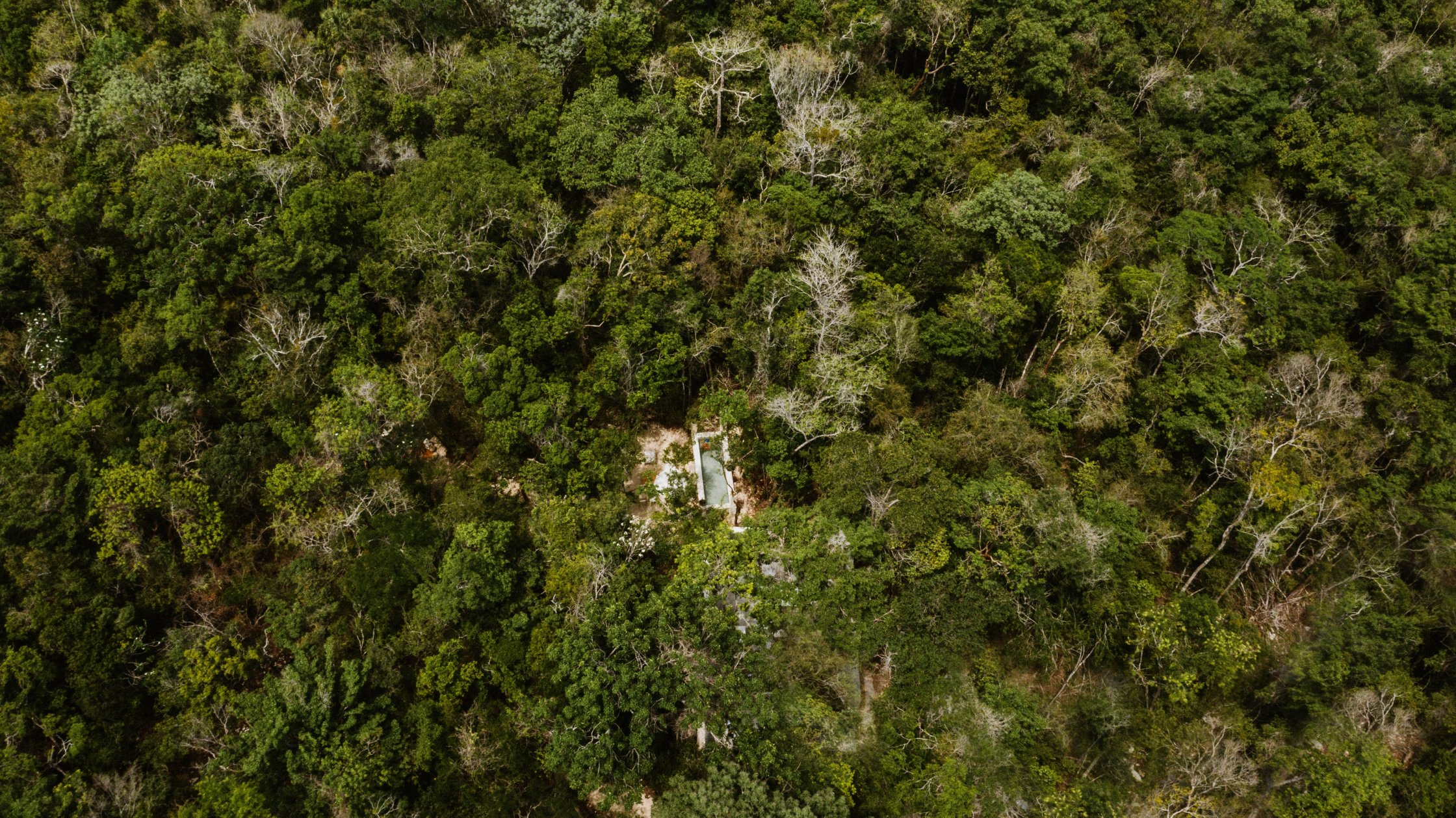 Arcadia Events Tulum