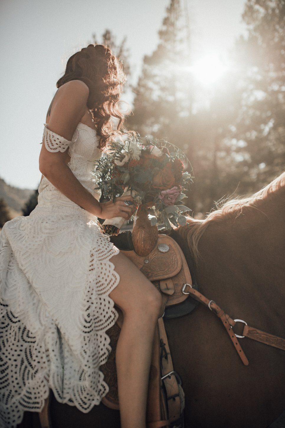 Olympic Valley Stables
