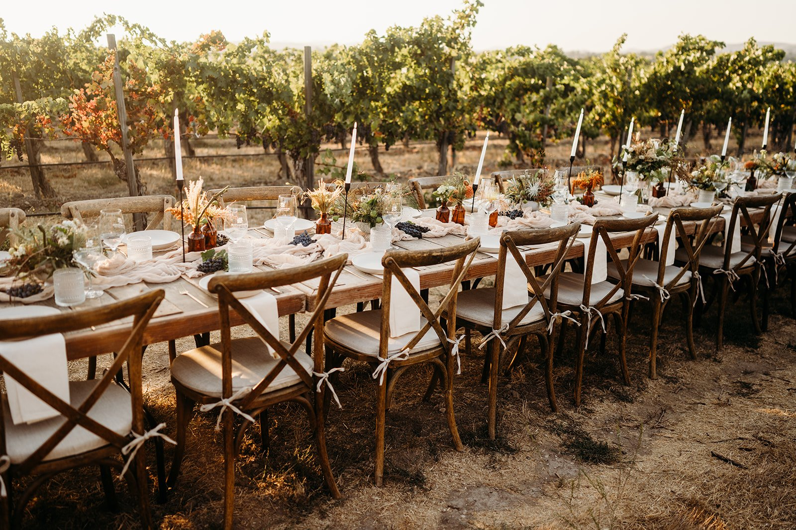 Buttonwood Farm & Vineyard