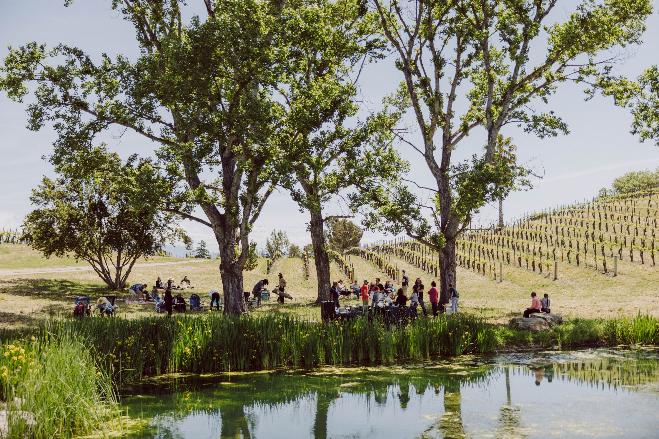 Buttonwood Farm & Vineyard