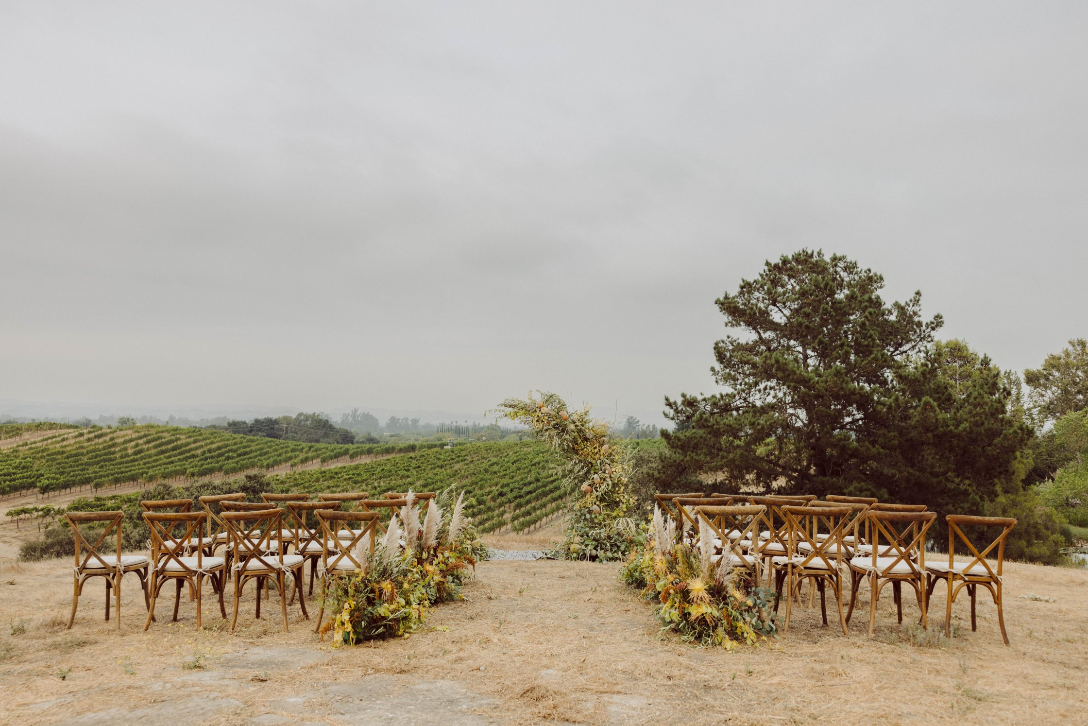 Buttonwood Farm & Vineyard