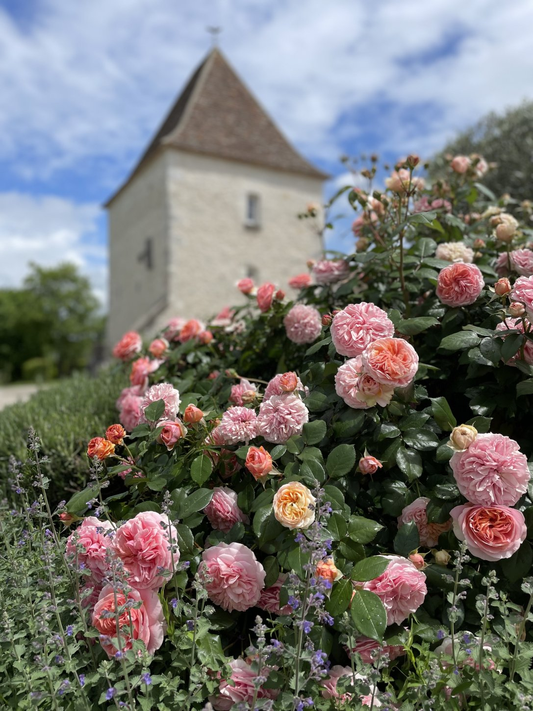 Chateau de Saint Paul