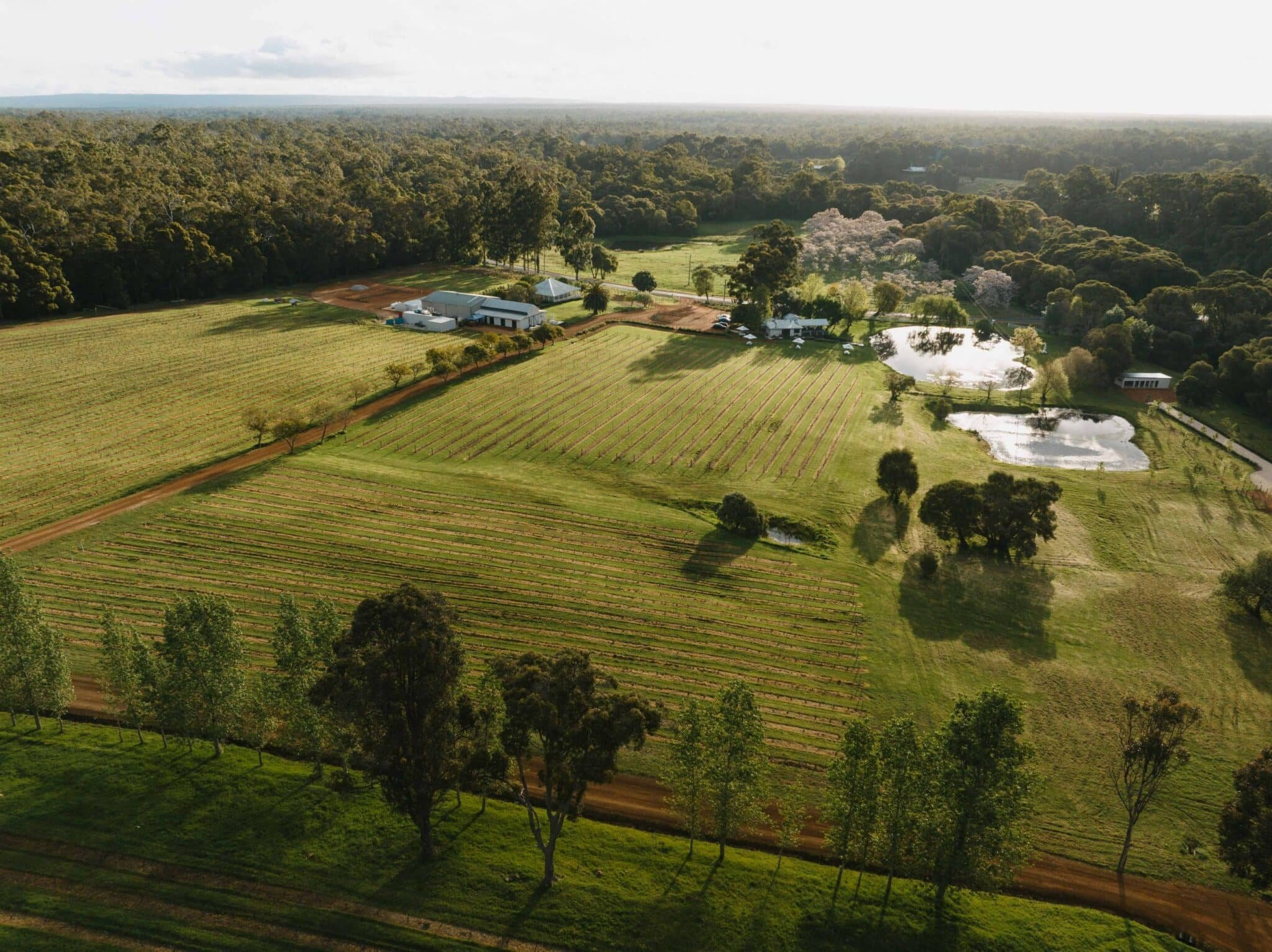 Ampersand Estates Winery